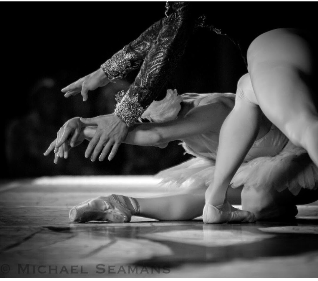 Feijo Ballet School