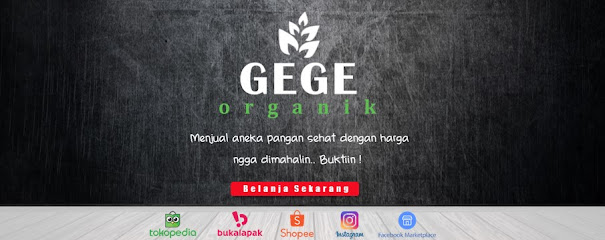 Gege Organik Grosir Almond