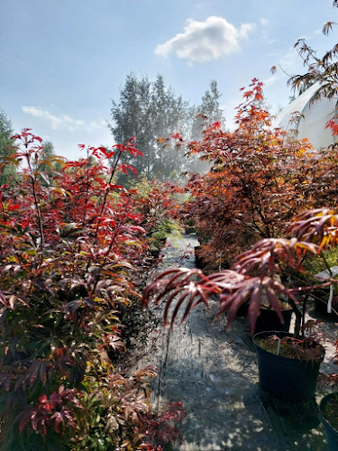 Comentarii opinii despre Krzemień Jarosław, mgr inż. Producent drzew i krzewów ozdobnych