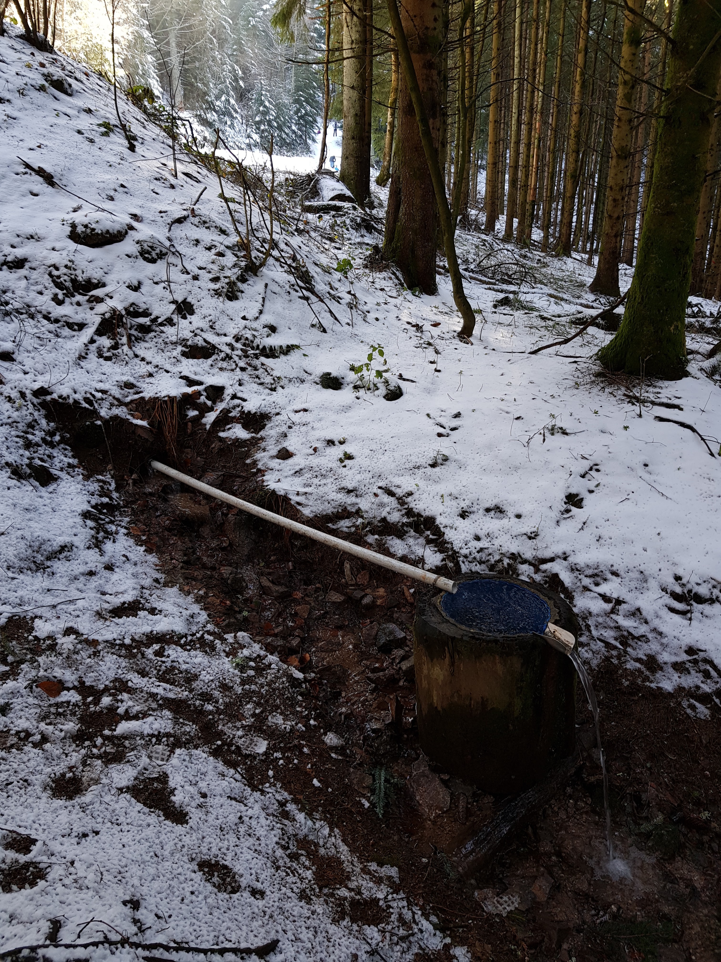 Photo n° 10 de l'avis de Celine.V fait le 03/03/2019 à 12:14
