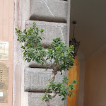 Photo n°4 de l'avis de Emiliano.t fait le 30/07/2021 à 11:18 sur le  Lifestyle Suites Rome à Rome