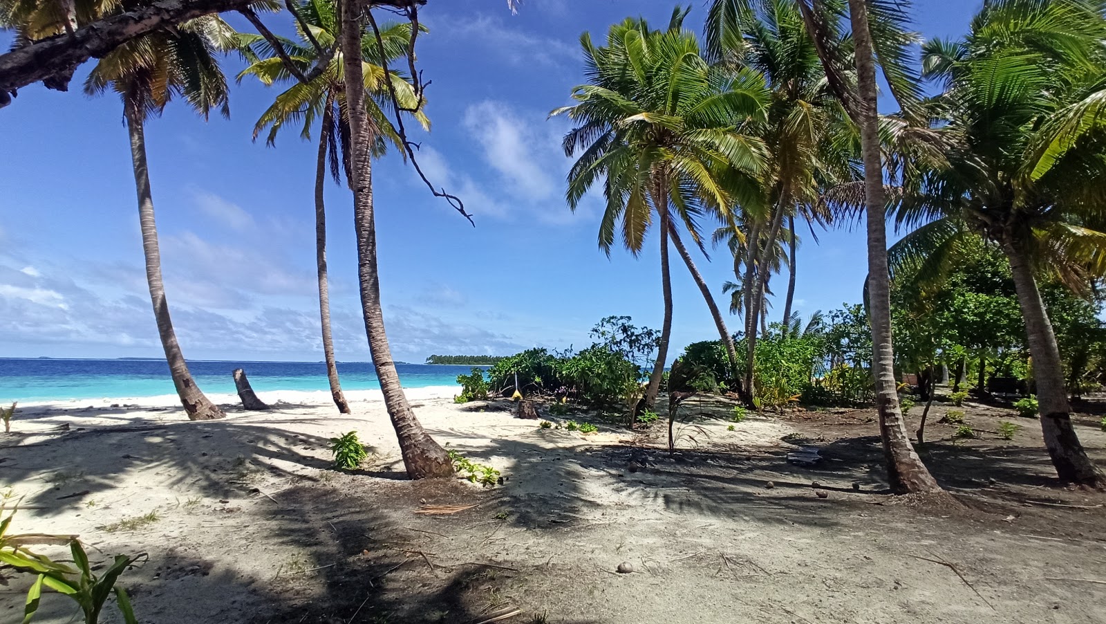Foto af Faruhulhudhoo Beach med høj niveau af renlighed
