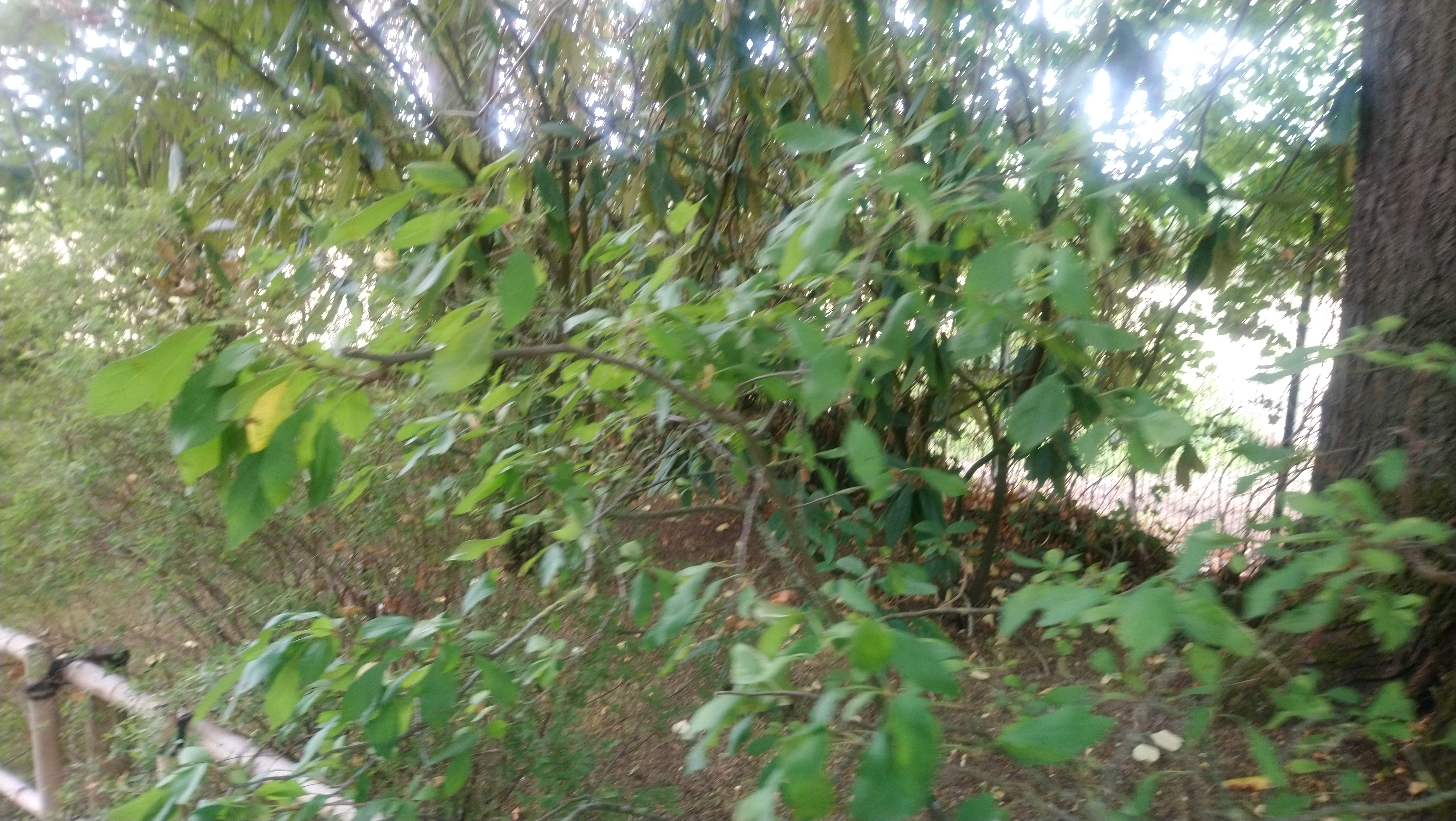 Photo n° 3 de l'avis de Angèle.K fait le 03/08/2020 à 11:24