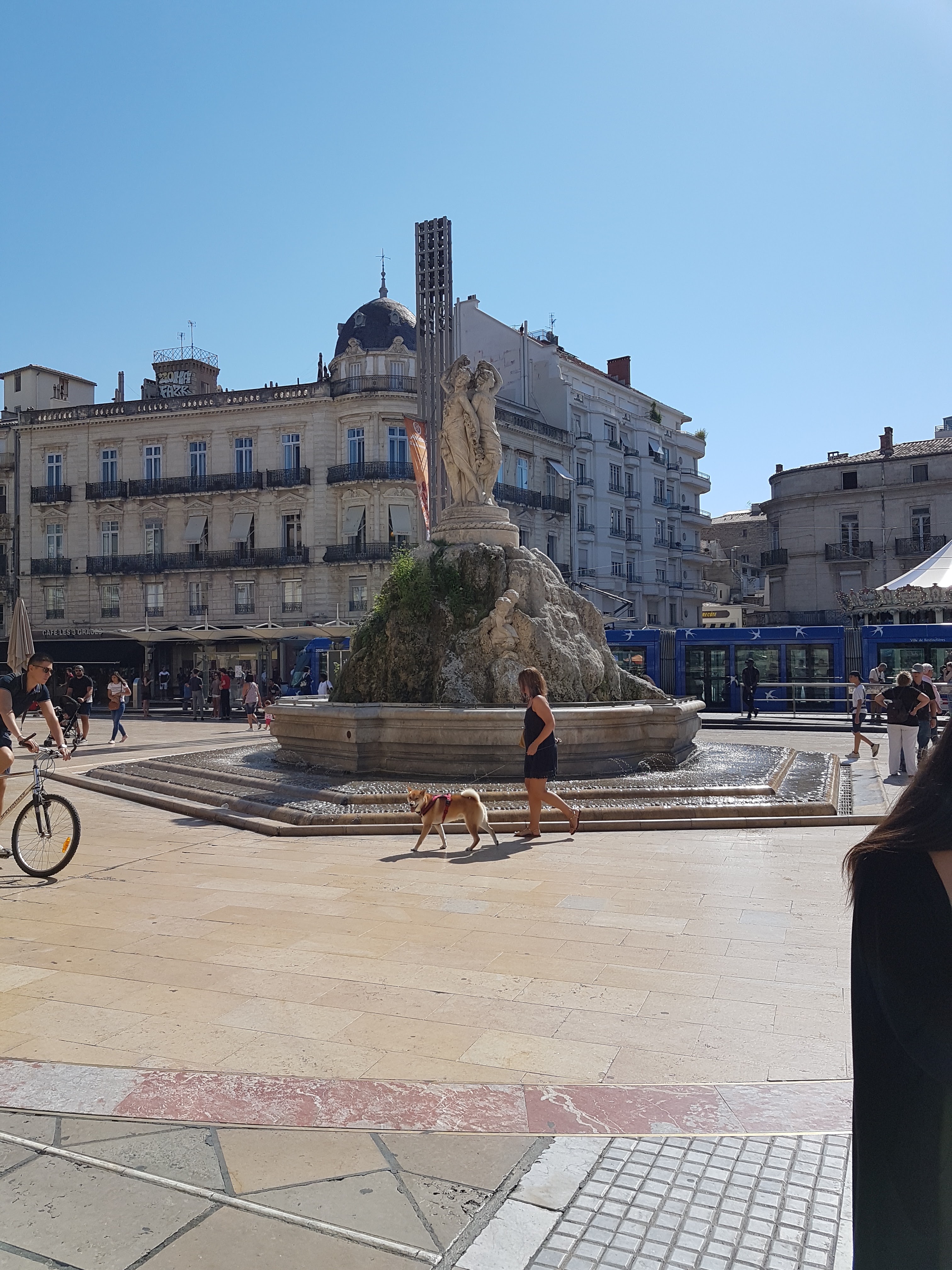 Photo n° 4 de l'avis de Micke.a fait le 12/09/2018 à 09:11