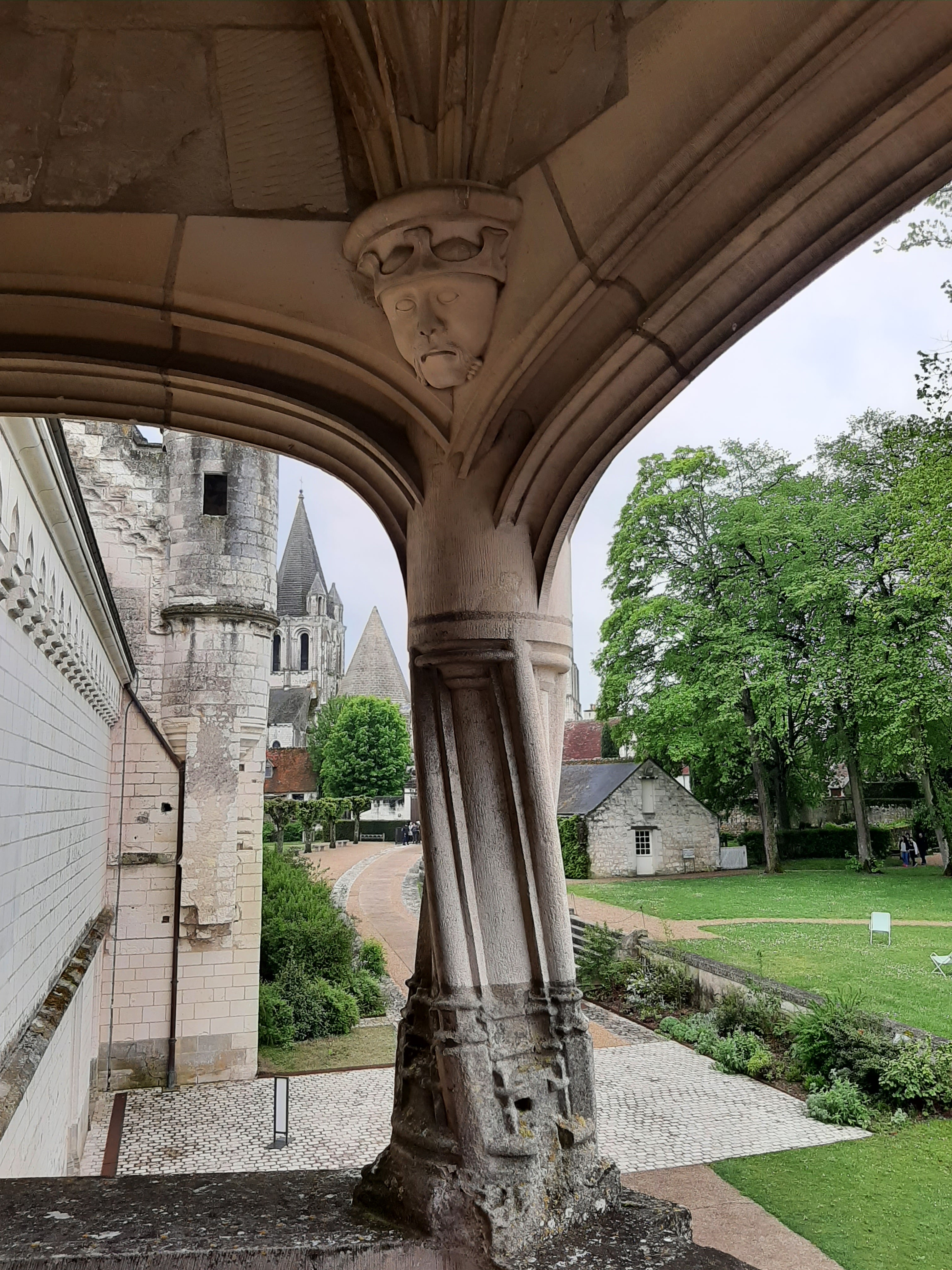 Photo n° 31 de l'avis de Olive.. fait le 26/04/2022 à 19:12