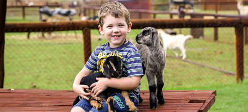 Swan Valley Cuddly Animal Farm