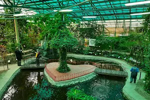 Botanical Garden Botanika image