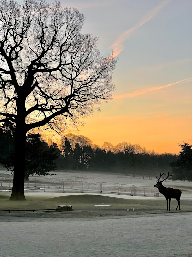 Comments and reviews of Wollaton Park