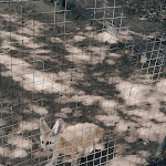 Photo n° 14 de l'avis de UsoPP.s fait le 07/08/2023 à 11:02 pour Zoo de La Palmyre à Les Mathes