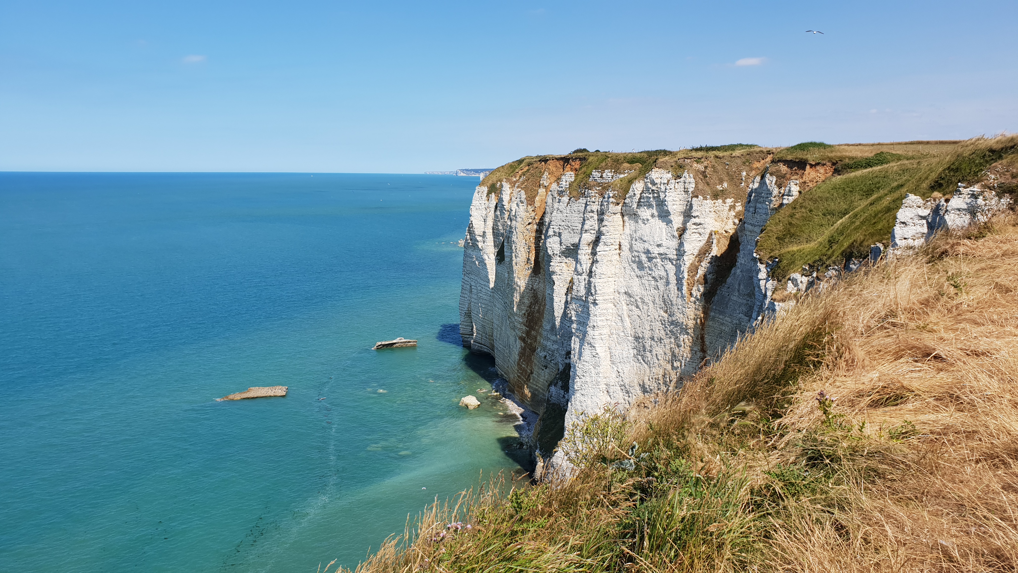 Photo n° 5 de l'avis de Olivier.e fait le 29/07/2018 à 09:57