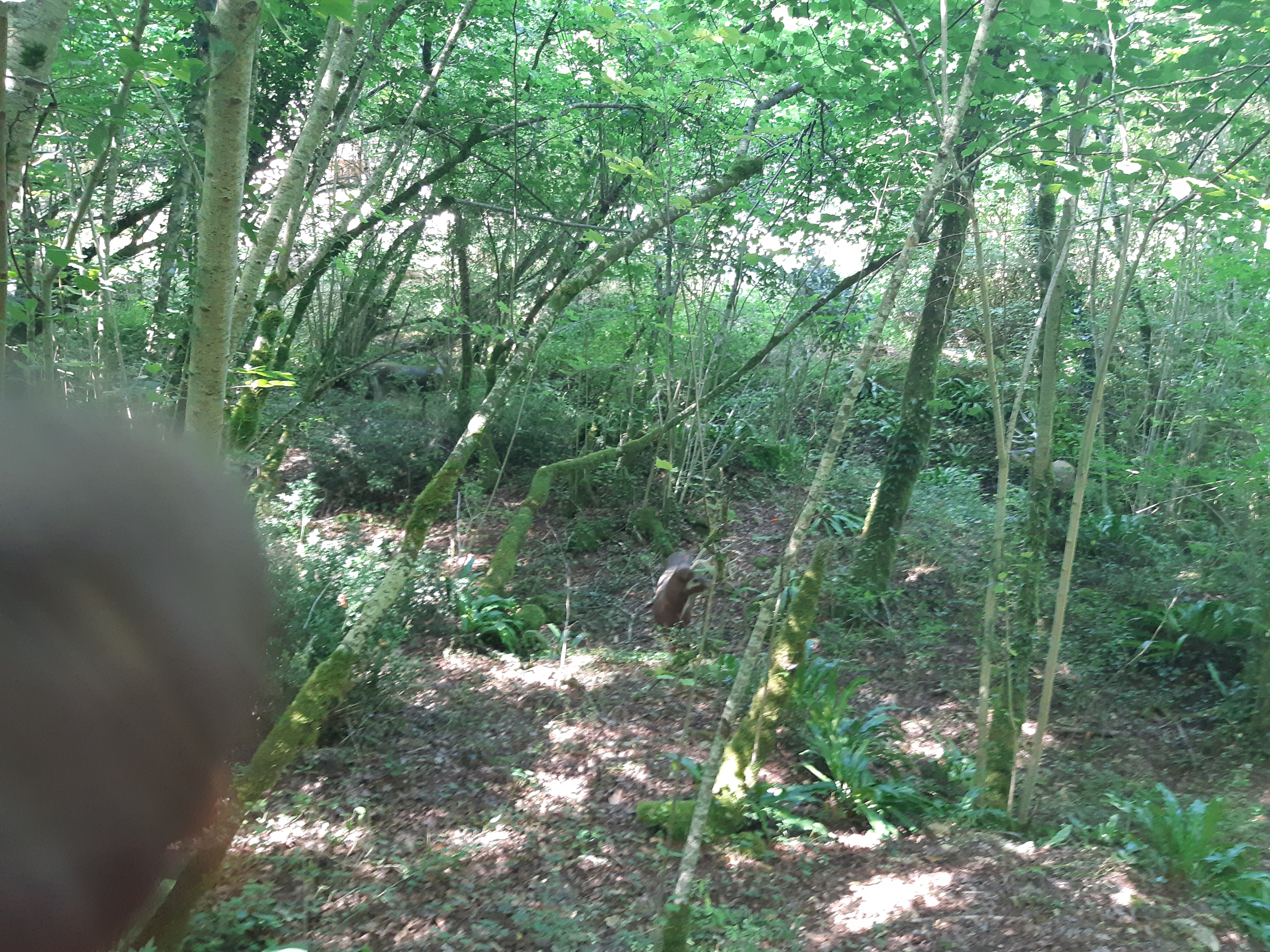 Photo n° 28 de l'avis de Pamela.e fait le 26/07/2018 à 11:23