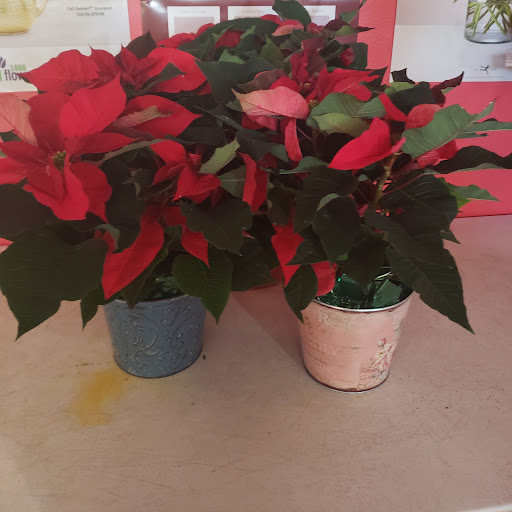 Florist «Flowers By Design», reviews and photos, 2826 Azalea Pl, Nashville, TN 37204, USA