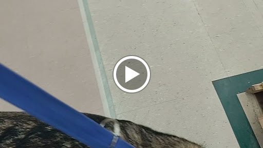 Farm Equipment Supplier «Family Farm & Home», reviews and photos, 66875 Gratiot Ave, Richmond, MI 48062, USA