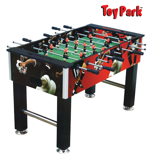 Toy Park Delhi Private Limited