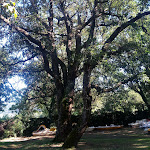 Photo n°3 de l'avis de Bruna.a fait le 21/09/2018 à 18:25 sur le  Ristorante L'Ultima Spiaggia à Ronciglione