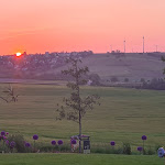 Photo n°2 de l'avis de Familie.e fait le 27/05/2023 à 06:39 sur le  Weinzuhause à Mommenheim