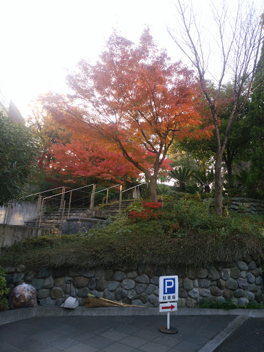 独立行政法人 地域医療機能推進機構(JCHO) 本部