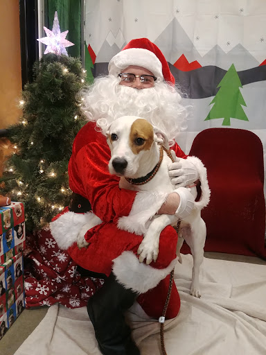 Pet Supply Store «PetSmart», reviews and photos, 2389 Taylor Park Dr, Reynoldsburg, OH 43068, USA