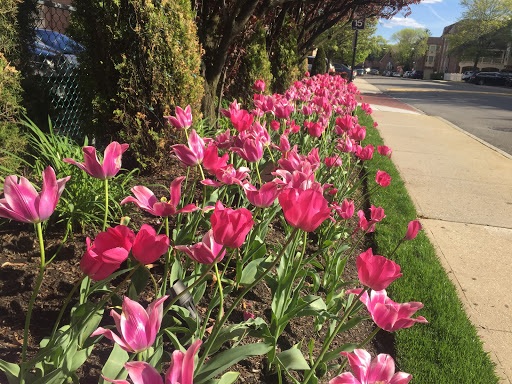Public Golf Course «Clearview Park Golf Course», reviews and photos, 202-12 Willets Point Blvd, Queens, NY 11360, USA