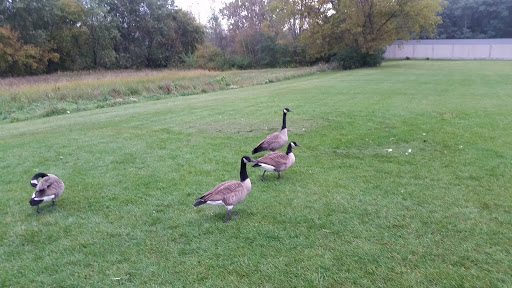 Greenhouse «Stiles Vegetable Farm and Greenhouse», reviews and photos, 11717 Sheridan Rd, Pleasant Prairie, WI 53158, USA