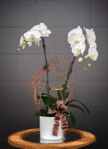 Florist «Huntington Flowers», reviews and photos, 10086 Adams Ave, Huntington Beach, CA 92646, USA