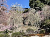 城南宮神苑「楽水苑」（源氏物語花の庭）