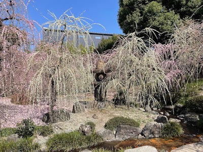 城南宮神苑「楽水苑」（源氏物語花の庭）