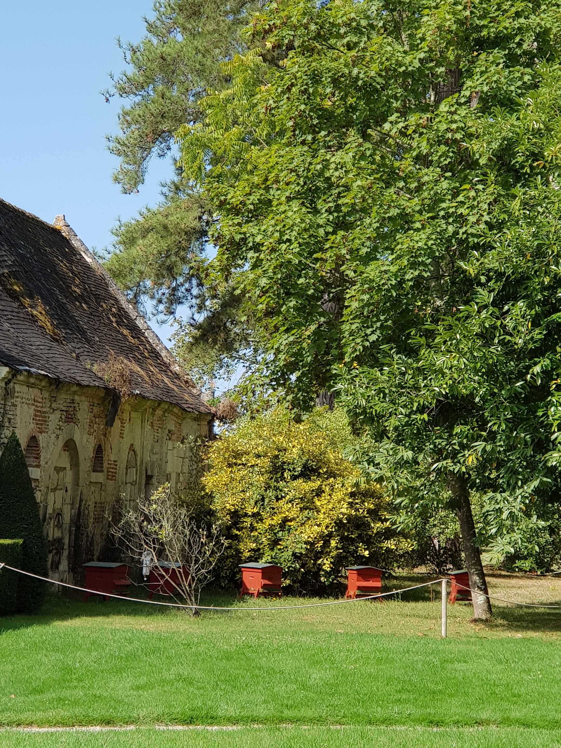 Photo n° 17 de l'avis de dragon. fait le 06/10/2018 à 13:05