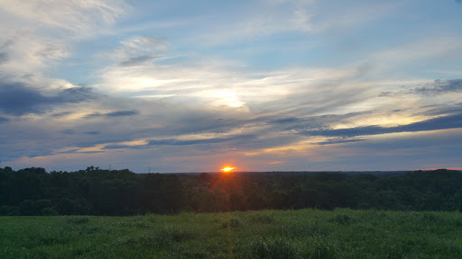 Dog Park «Worthington Off Leash Dog Park», reviews and photos, 8170 Hillsborough Rd, Ellicott City, MD 21043, USA