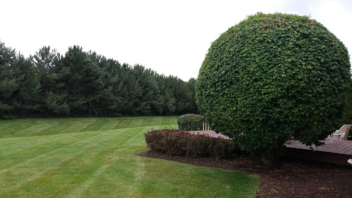 Municipality «South Pointe Park», reviews and photos, 5504 Switch Grass Ln, Naperville, IL 60564, USA