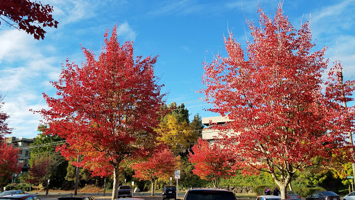 Park «Gas Works Park», reviews and photos, 2101 N Northlake Way, Seattle, WA 98103, USA
