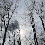 Photo n°1 de l'avis de Gunnar. fait le 19/03/2023 à 13:59 sur le  Gaststätte Schlossterrassen à Wernigerode