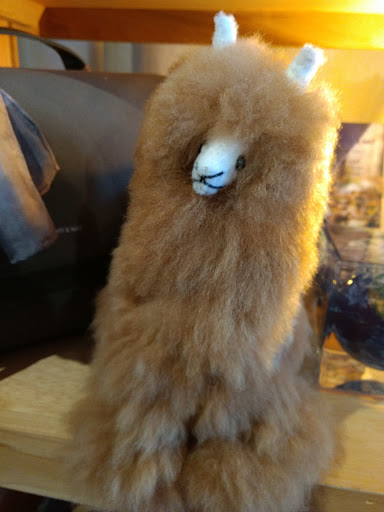 Gift Shop «Eco Denizen», reviews and photos, 999 Peachtree St NE #180, Atlanta, GA 30309, USA