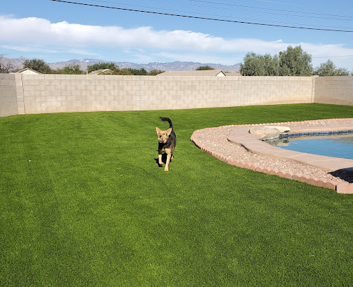 Turf supplier Tucson