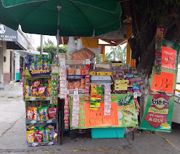 Tienda El Arbolito photo