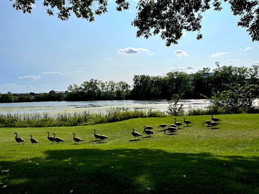 Public Golf Course «Roseville Cedarholm Golf Course», reviews and photos, 2323 Hamline Ave N, Roseville, MN 55113, USA