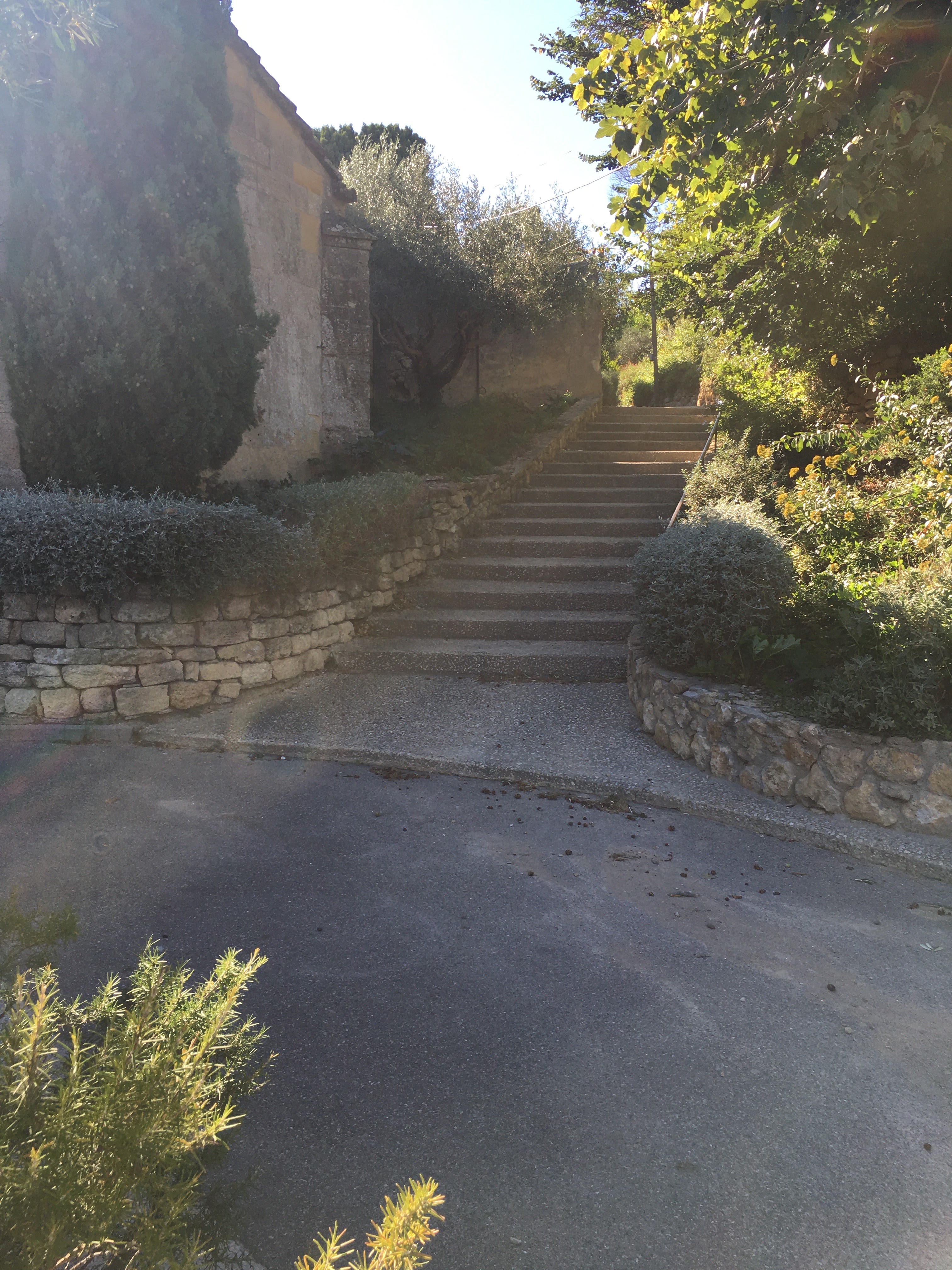 Photo n° 7 de l'avis de pierre.o fait le 07/10/2021 à 16:26