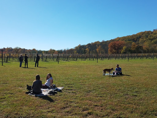 Vineyard «North Gate Vineyard», reviews and photos, 16031 Hillsboro Rd, Purcellville, VA 20132, USA
