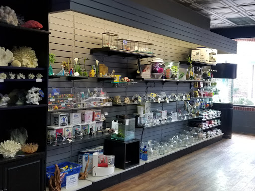 Tropical Fish Store «Life Aquatic», reviews and photos, 9 South Ave, New Canaan, CT 06840, USA