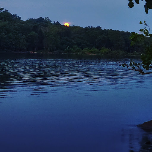 National Park «George Washington Memorial Parkway First Overlook», reviews and photos, George Washington Memorial Pkwy, Arlington, VA 22207, USA