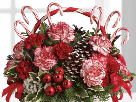 Florist «Janousek Florist Inc. & Greenhouses», reviews and photos, 4901 Charles St, Omaha, NE 68132, USA