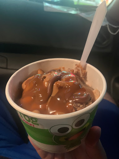 Frozen Yogurt Shop «Sweet Frog», reviews and photos, 4871 US-90, Pace, FL 32571, USA