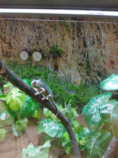 Pet Supply Store «Petco Animal Supplies», reviews and photos, 187 Stonebrook Pl, Jackson, TN 38305, USA