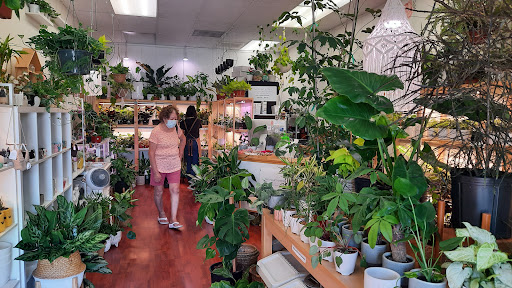 The Plant Sitter Rare and Uncommon Plant Specialty Shop