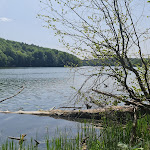 Photo n°20 de l'avis de Richard.e fait le 03/06/2023 à 07:04 sur le  Boltenmühle à Neuruppin