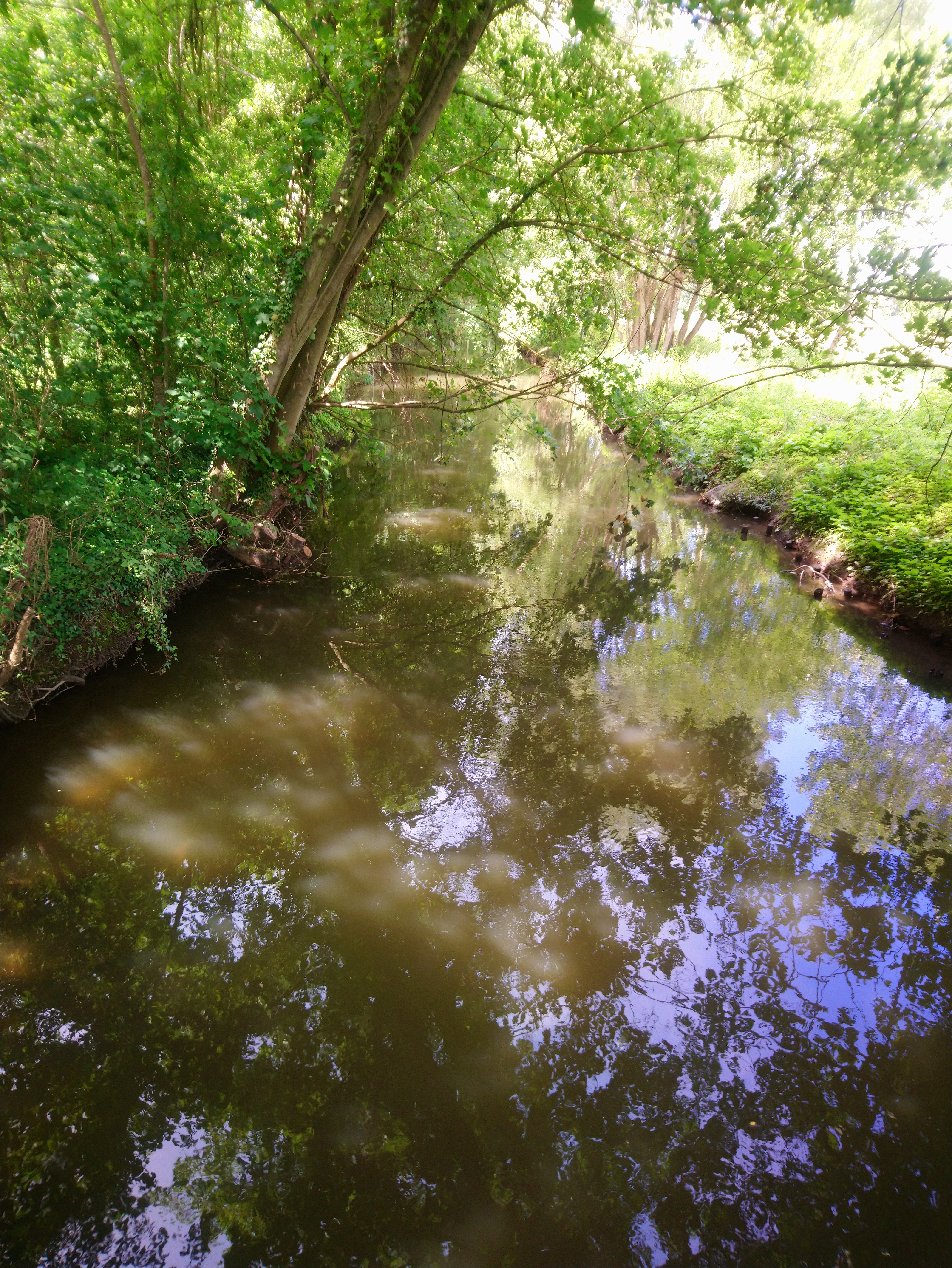 Photo n° 26 de l'avis de Lucien.e fait le 10/06/2019 à 14:26