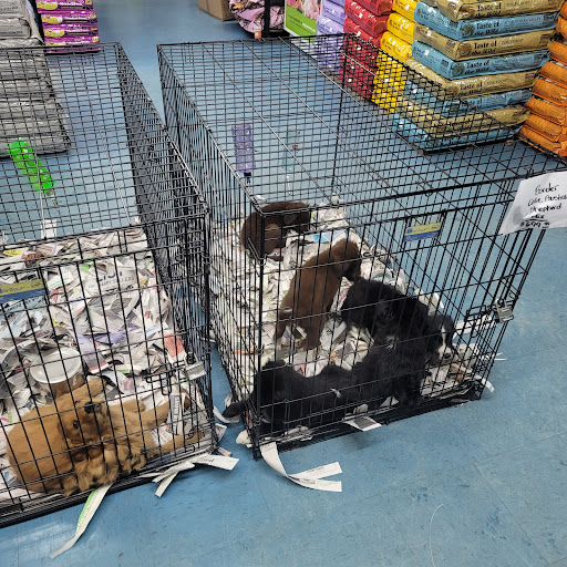 Liberty Pet & Supply