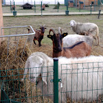 Photo n°1 de l'avis de Guglielmo.i fait le 21/01/2020 à 16:28 sur le  Agriturismo La Contea del Vignolo Fiorito à Graffignana