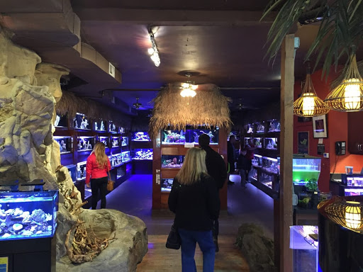 Tropical Fish Store «Old Town Aquarium», reviews and photos, 1538 N Wells St, Chicago, IL 60610, USA