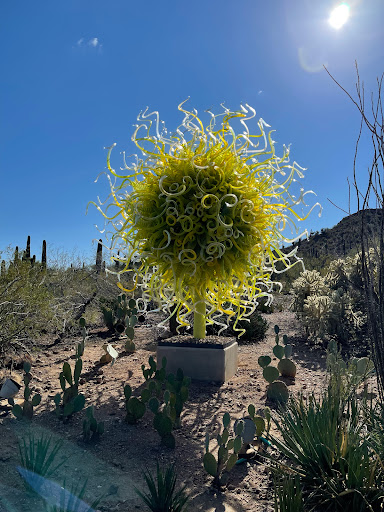 Park «Papago Park», reviews and photos, 625 N Galvin Pkwy, Phoenix, AZ 85008, USA